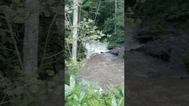 連日の異常気象でついに近所のいつもは綺麗で穏やかな川が荒れ狂った。今後の未来どうなる・・・