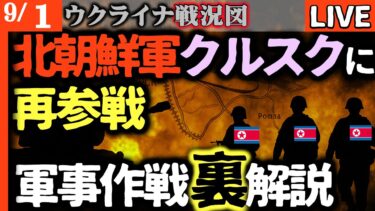 💣北朝鮮軍がクルスクに再参戦💥ロシア軍事作戦の裏側を徹底解説【ウクライナ戦況LIVE】フラミンゴ巡航ミサイル初確認ロシア軍飛行場で大損害｜モスクワ化学工場大爆発で有毒ガス蔓延！ロシア首都が死の街に