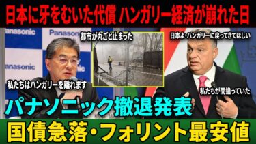 【海外の反応】「税金2倍・罰金50億！」パナソニック逆鱗でハンガリー経済が崩れた日