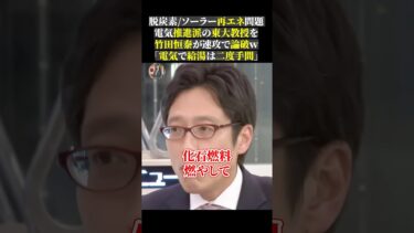 脱炭素ソーラー再エネ問題 電気推進派の東大教授を 竹田恒泰が速攻で論破ｗ 「電気で給湯は二度手間」