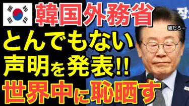 【海外の反応】「まさか日本が…」隣国へ予想外の警告！日本が突きつけた冷酷すぎる現実とは…【にほんのチカラ】