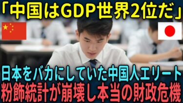【海外の反応】「中国はGDP世界2位だ」日本をバカにしていた中国人エリートが知った粉飾統計が崩壊し本当の財政危機