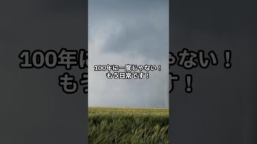 「100年に一度」の異常気象、もう当たり前？地球温暖化の真実