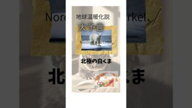 地球温暖化と白くま・・・絶滅危惧種？