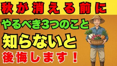【変わる秋】異常気象でも元気に育つ植物の選び方を専門家が解説！