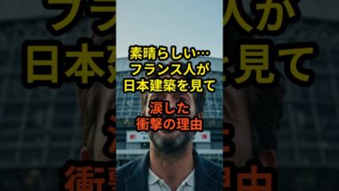 【海外の反応】フランス人が日本の建築技術に涙した理由 #shorts