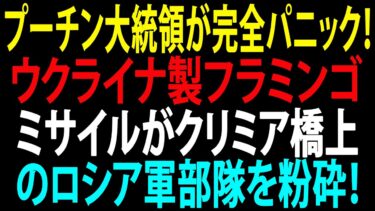 🚩【国際ニュース】プーチン大統領が完全パニック！ウクライナ製フラミンゴミサイルがクリミア橋上のロシア軍部隊を粉砕！JPNews 360