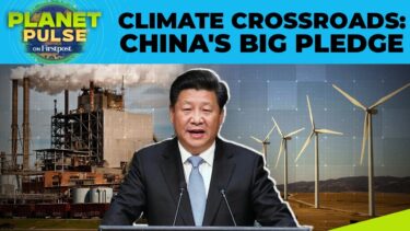 China Sets First-Ever Absolute Emissions Targets at UN Climate Summit | Planet