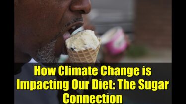 How Climate Change is Impacting Our Diet: The Sugar Connection
