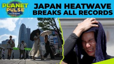 Japan Faces Record-Breaking Heatwave With Temperatures Above 41 Degrees |