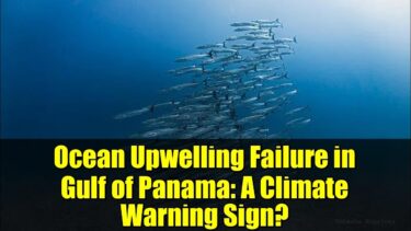Ocean Upwelling Failure in Gulf of Panama: A Climate Warning Sign?