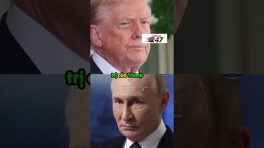 Trump gây áp lực chính trị, Ukraine lộ thế yếu trước Putin| Chiến Sự 247