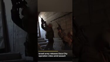 WATCH: Gaza City Under Assault: Israel’s Military Operations Escalate | DWS