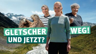 Was kommt, wenn der Gletscher verschwindet? Klimawandelfolgen in den Alpen,