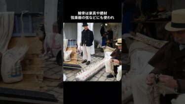 🐋 捕鯨が世界経済と文化を支えた意外な事実　#歴史シリーズ #クジラ #捕鯨 #動物雑学 #どうぶつのヒミツ図鑑