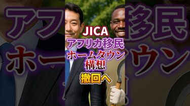 【ネットの勝利か】JICA アフリカ ホームタウン事業 撤回【移民問題｜アフリカ移民】