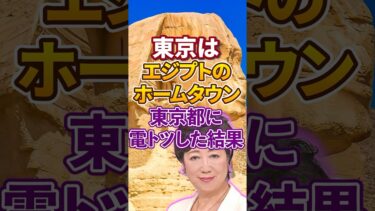 【移民問題】エジプト移民｜小池百合子｜東京都 ホームタウン【エジプトゆりこ神殿｜自民党｜石破茂】日本人ファースト