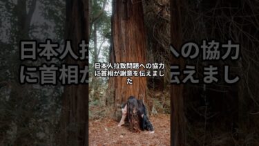 石破首相、退陣前最後の訪韓　日韓関係はどこへ向かう？#日韓首脳会談 #石破首相 #李在明 #英語学習  #国際関係 #ショート動画
