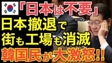 【海外の反応】隣国「日本は不要！」日本の撤退で地方が壊滅！隣国民が大激怒…【にほんのチカラ】