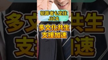 【JICA｜アフリカ移民】移民問題｜多文化共生 推進【自民党｜石破茂】日本人ファースト