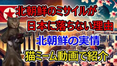 【猫ミーム】北朝鮮ミサイル！日本に落ちない理由が凄い！#猫マニ