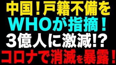 【ゆっくり解説】中国人口は3億人しかいない！？世界経済を揺るがす最恐の真実【海外の反応】