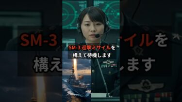 女性隊員 【閲覧注意】 もし日本にミサイルが落ちたら、どーなるの？