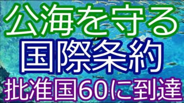 【国際ニュース】地球の半分を占める海を守る新条約、2026年始動