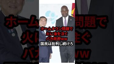 アフリカ移民問題がヤバいことになりました…#自民党  #神谷宗幣 #国民民主党 #玉木雄一郎 #財務省 #立憲民主党 #れいわ新選組#参政党#日本保守党
