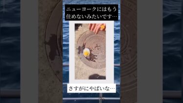 ニューヨークにはもう住めないみたいです…。#地球温暖化 #やばい #shorts