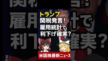 【ゆっくり解説】トランプ関税発言で半導体に波紋！ #ゆっくり解説 #米国株#トランプ