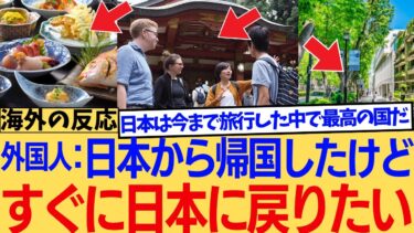 【海外の反応】日本旅行から帰国したけどもうすでに日本に戻りたいよ！！に対する海外ニキたちの反応集