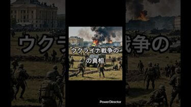 切り抜き　ウクライナ戦争に対する日本の見解