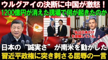 【海外の反応】中国が去った！一日あたり1200億円を失っているウルグアイが、日本ではなく中国に“平手打ち”を食らわせた理由とは？南米の小国が選んだ意外な決断に世界が騒然！