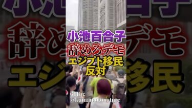 【小池百合子｜移民問題】小池辞めろデモ 開催｜小池百合子エジプトファースト【エジプト百合子神殿】日本人ファースト