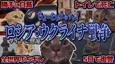 分かりやすすぎる『ロシア・ウクライナ戦争』【猫ミーム】