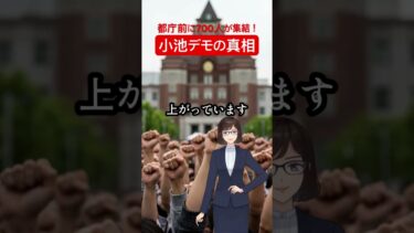 小池デモの真相　#経済ニュース #小池デモ　#移民問題
