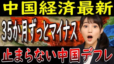 「中国経済が崩壊寸前！デフレと不動産暴落のダブルパンチが世界を襲う」