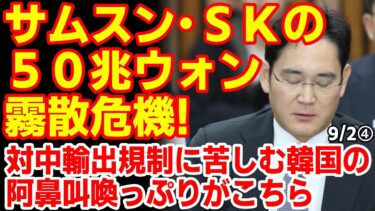 韓国紙｢積み上げられた塔が崩れる危機！｣アメリカの半導体装備の輸出規制に慄く韓国の悶えっぷりを見てみよう！　25/8/31報道【ニュース･スレまとめ･海外の反応･韓国の反応】