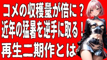 【衝撃】温暖化で米が増える？“1回の田植えで2回収穫”できる衝撃の技術【再生二期作】