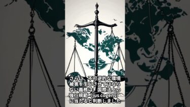 米州人権裁判所：気候緊急事態と人権に関する勧告的意見