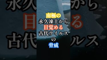 永久凍土の下、古代ウイルスの脅威 【 温暖化 環境破壊 南極 ウイルス 脅威 】