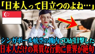 【海外の反応】「また日本人だわ…」シンガポール航空のCAが機内で目撃した、日本人だけの異質すぎる行動に世界が絶句した理由【海外レビュー】【日本称賛】