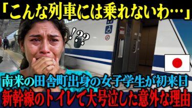 【海外の反応】「これが本当に日本の列車なの…？！」南米出身の女子学生が新幹線に初乗車後、トイレで大号泣した意外な理由