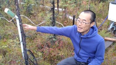 地球温暖化と北極域の森林：アラスカでの環境研究の紹介