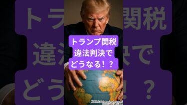 トランプ関税違法判決でどうなる！？ #雑学 #トランプ関税 #世界経済 #トランプ大統領