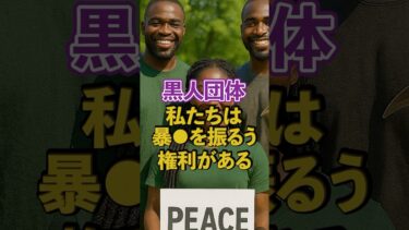 【移民問題｜アフリカ移民】黒人｜アフリカ ホームタウン｜ナイジェリア【自民党｜石破茂】日本人ファースト