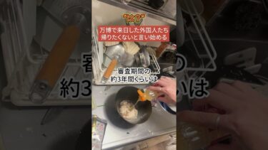 【物議】万博で来日した外国人→日本に居座り続ける…