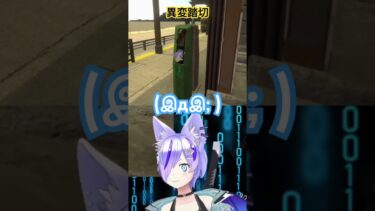 異変踏切で異常気象で泣きそうなる😭