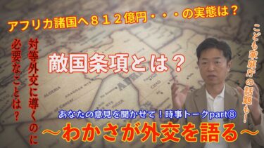 【わかさが外交を語る】アフリカ支援812億円と子ども政策のリアル